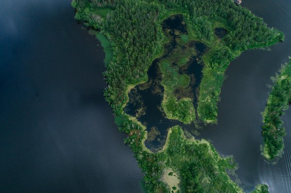 Découvrez laurence bras : l'élégance à la française