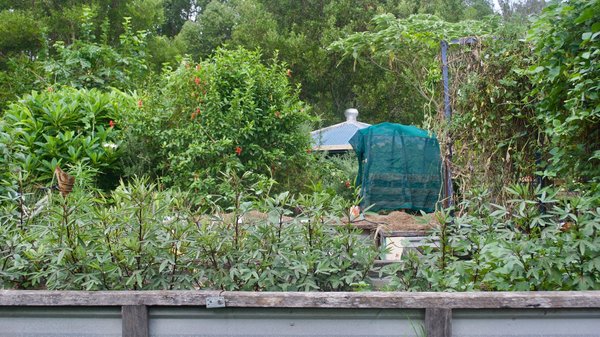 Comment intégrer un système de permaculture dans une petite ferme urbaine ?